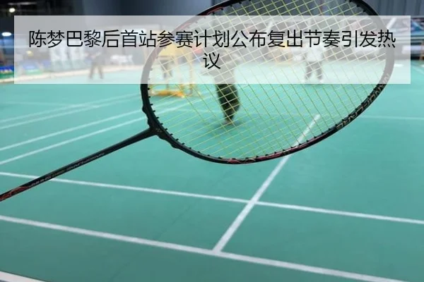 陈梦巴黎后首站参赛计划公布复出节奏引发热议